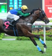 Abeyant is given another chance<br>Photo by Singapore Turf Club